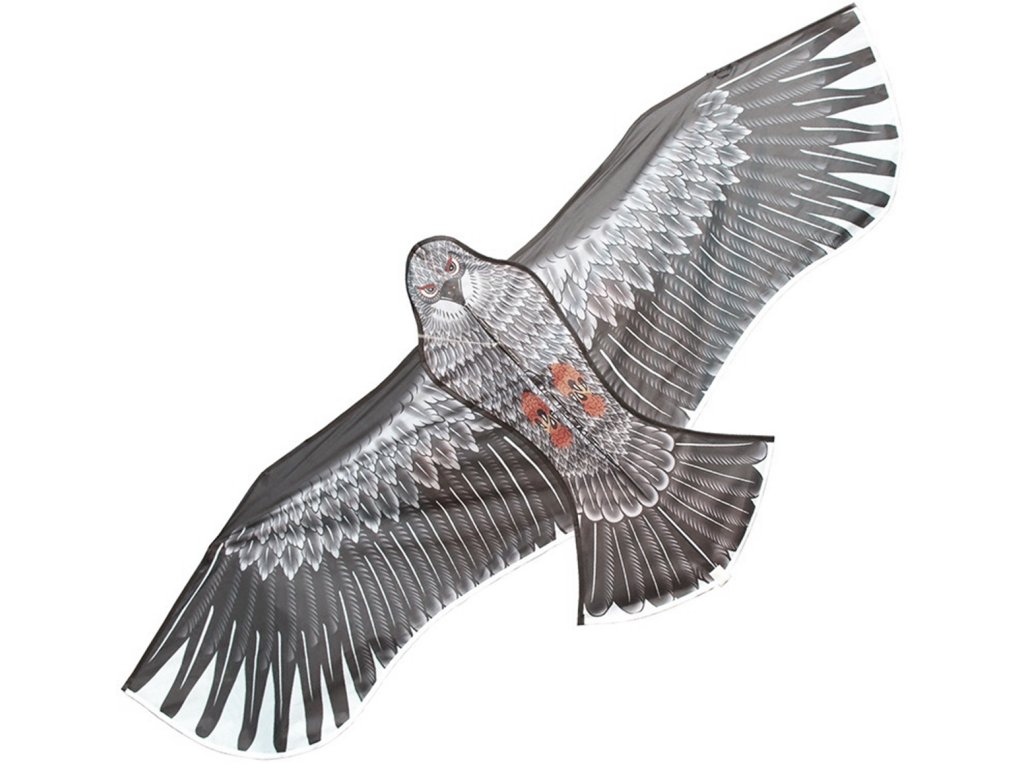 Уникален хвърчило - летящ орел